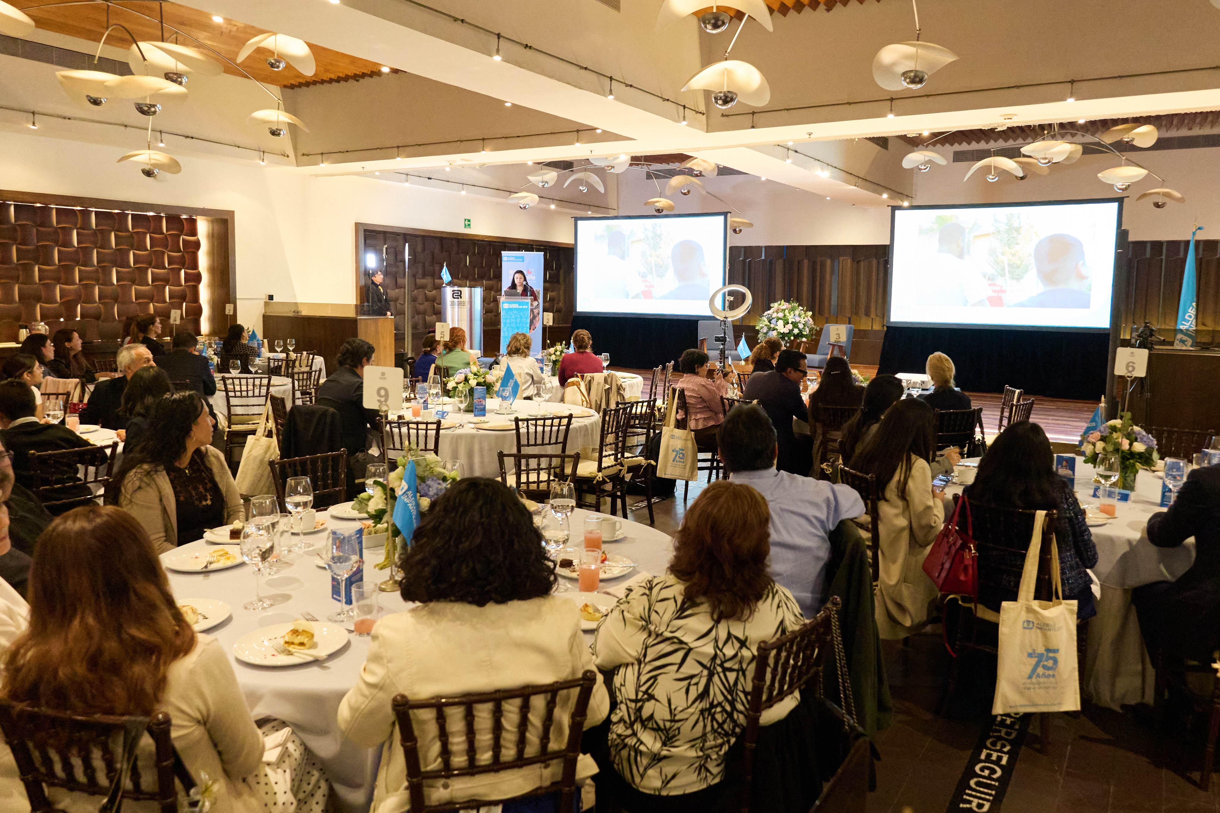Aldeas Infantiles SOS M&eacute;xico celebra su XIV Asamblea Anual